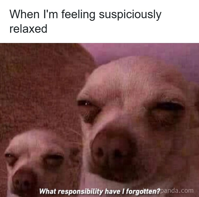 98 Funny ADHD Memes That Explain What It’s Really Like Better Than Any Long Explanation Ever Could