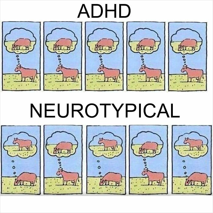 98 Funny ADHD Memes That Explain What It’s Really Like Better Than Any Long Explanation Ever Could