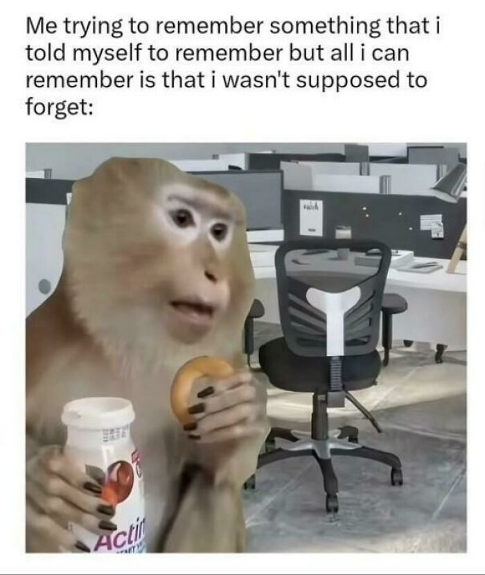 98 Funny ADHD Memes That Explain What It’s Really Like Better Than Any Long Explanation Ever Could