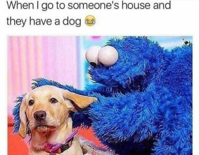 This Page Shared 31 New Memes That Show Why Dogs Are So Lovable And Entertaining