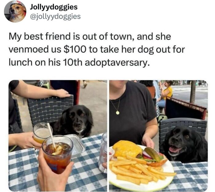 This Page Shared 31 New Memes That Show Why Dogs Are So Lovable And Entertaining