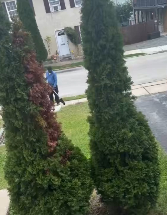 “That’s Entitlement”: Woman Sparks Heated Debate After Complaining About Male Neighbor Not Mowing Her Side “That’s Entitlement”: Woman Sparks Heated Debate After Complaining About Male Neighbor Not Mowing Her Side