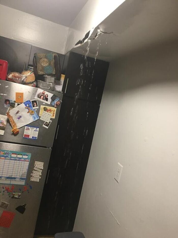 78 Roommate Stories That Prove You Don’t Really Know Someone Until You Share A Home 78 Roommate Stories That Prove You Don’t Really Know Someone Until You Share A Home