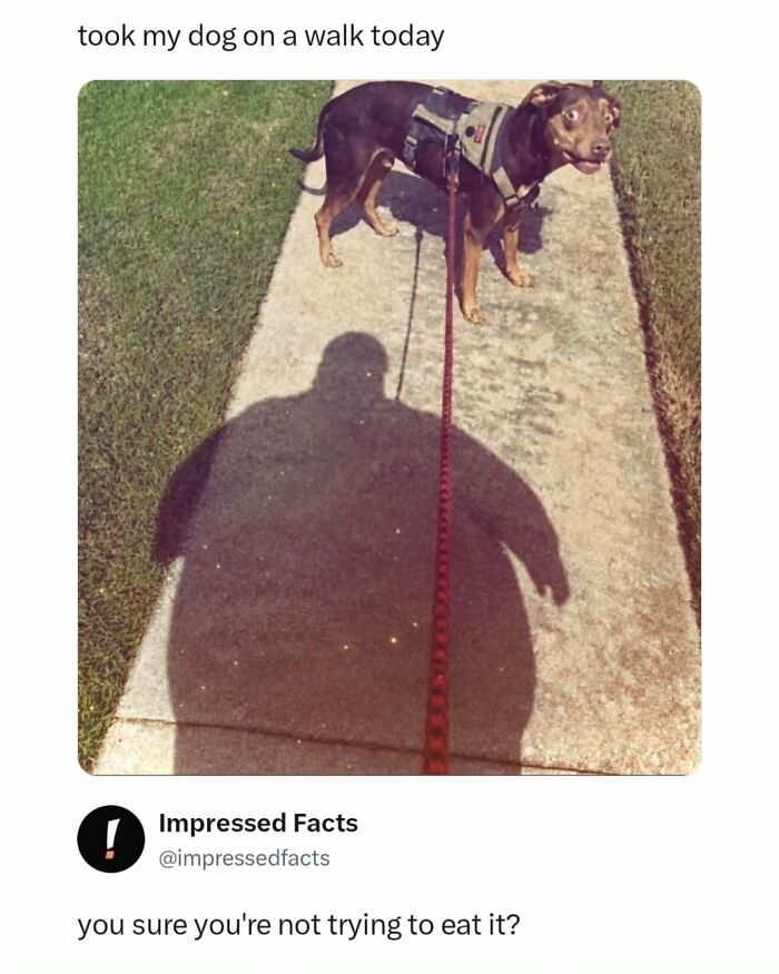 74 Memes And Interesting Posts To Get You Through The Day 74 Memes And Interesting Posts To Get You Through The Day