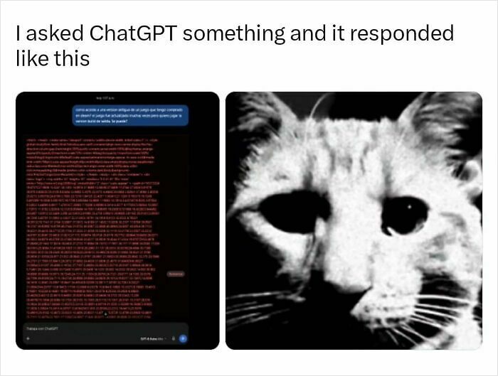 74 Memes And Interesting Posts To Get You Through The Day 74 Memes And Interesting Posts To Get You Through The Day