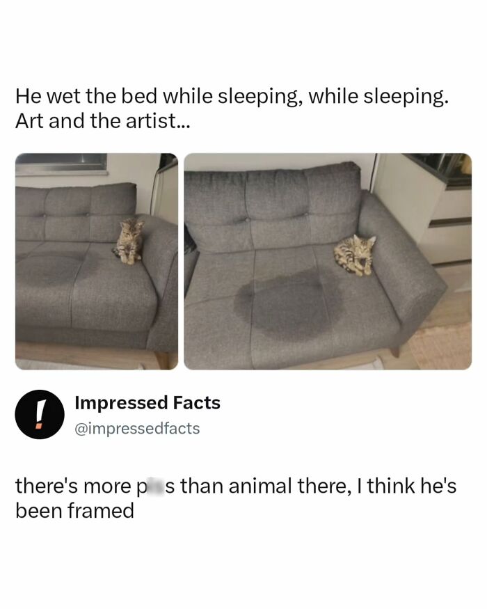 74 Memes And Interesting Posts To Get You Through The Day 74 Memes And Interesting Posts To Get You Through The Day