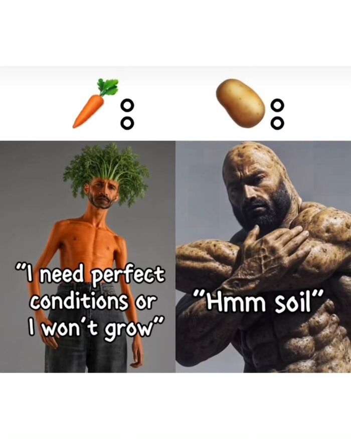 74 Memes And Interesting Posts To Get You Through The Day 74 Memes And Interesting Posts To Get You Through The Day