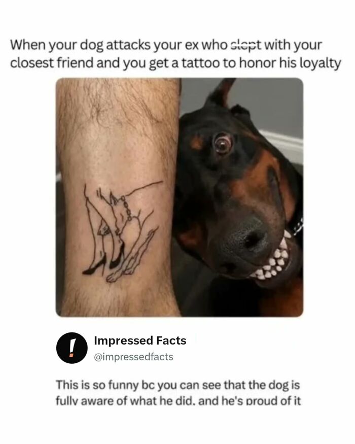 74 Memes And Interesting Posts To Get You Through The Day 74 Memes And Interesting Posts To Get You Through The Day