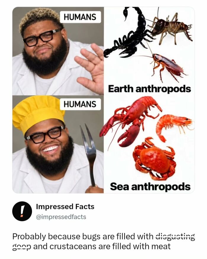 74 Memes And Interesting Posts To Get You Through The Day 74 Memes And Interesting Posts To Get You Through The Day