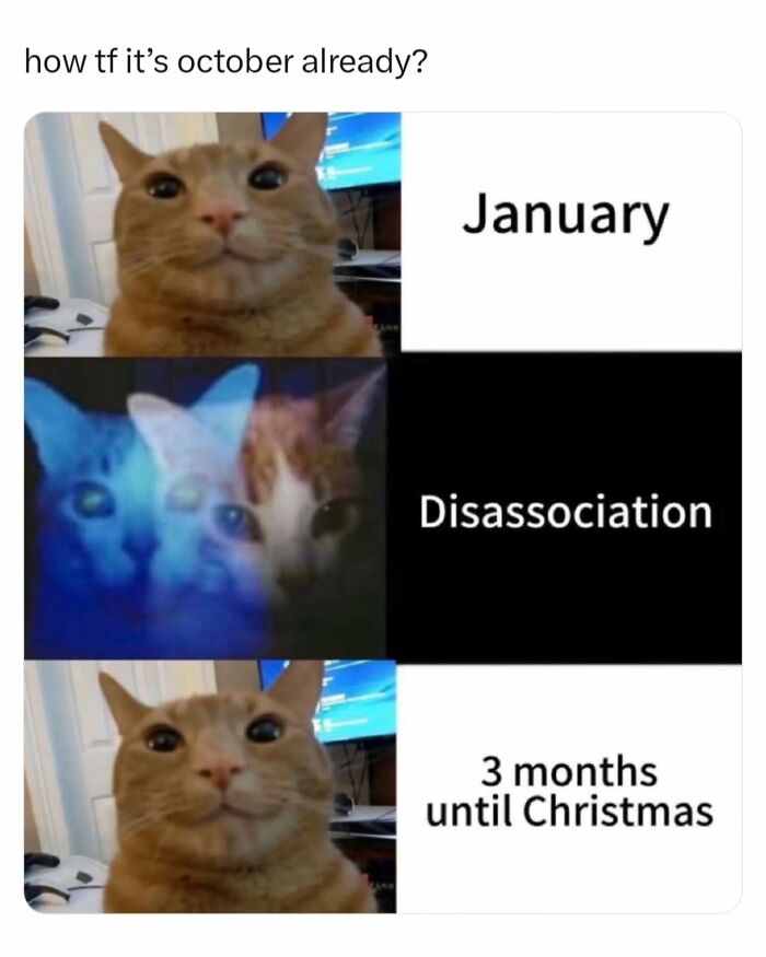74 Memes And Interesting Posts To Get You Through The Day 74 Memes And Interesting Posts To Get You Through The Day