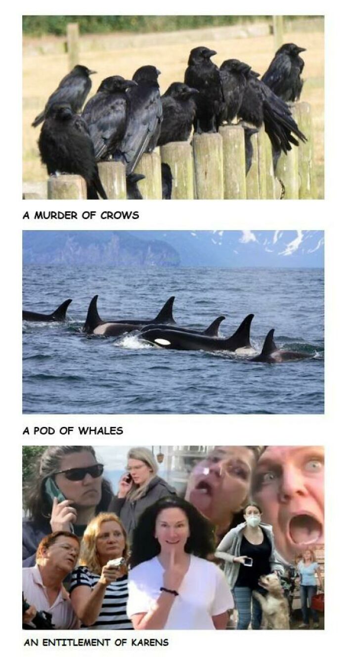 92 Posts And Pics That Capture “Karen” Behavior At Its Most Unhinged 92 Posts And Pics That Capture “Karen” Behavior At Its Most Unhinged