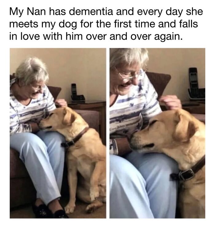 30 Hilariously Cute Dog Memes To Give You A Much-Needed Dose Of Happiness, As Shared By This Page