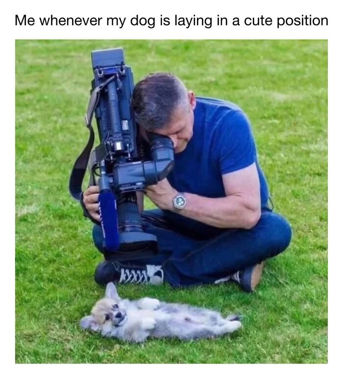 30 Hilariously Cute Dog Memes To Give You A Much-Needed Dose Of Happiness, As Shared By This Page