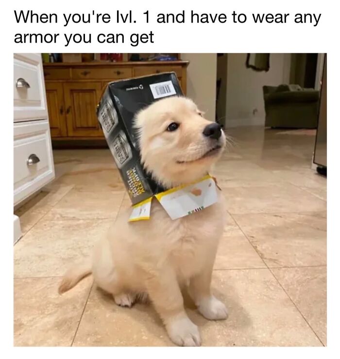 30 Hilariously Cute Dog Memes To Give You A Much-Needed Dose Of Happiness, As Shared By This Page