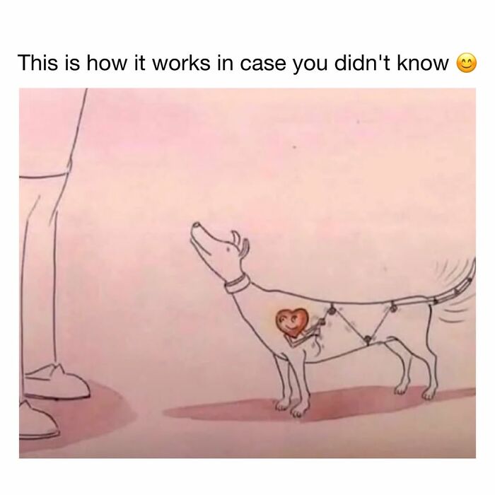 30 Hilariously Cute Dog Memes To Give You A Much-Needed Dose Of Happiness, As Shared By This Page