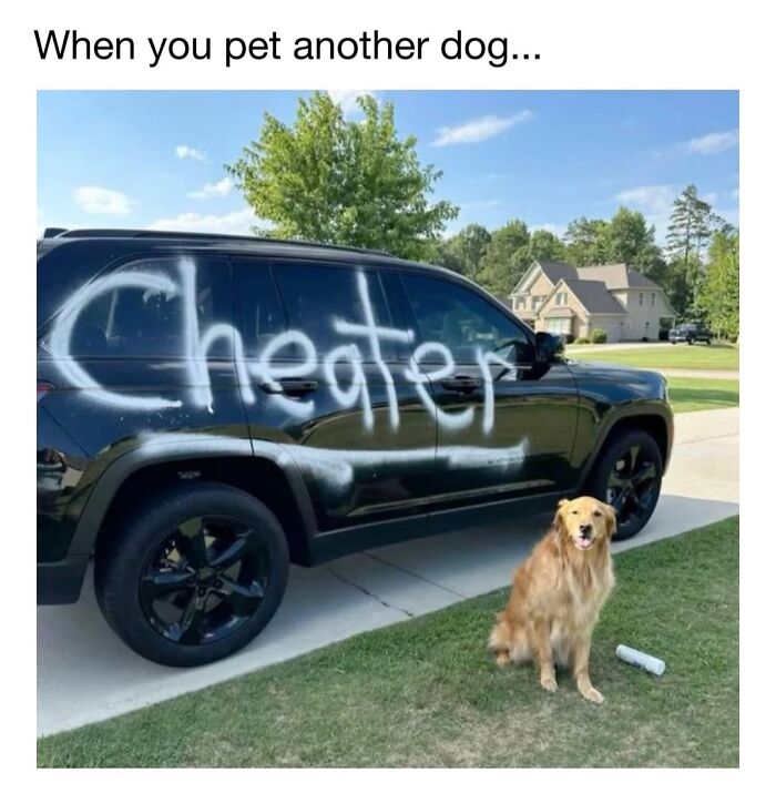 30 Hilariously Cute Dog Memes To Give You A Much-Needed Dose Of Happiness, As Shared By This Page