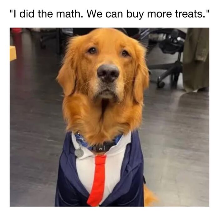 30 Hilariously Cute Dog Memes To Give You A Much-Needed Dose Of Happiness, As Shared By This Page