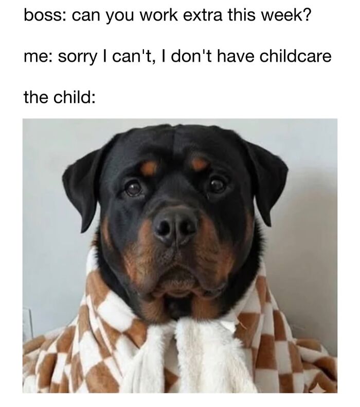 30 Hilariously Cute Dog Memes To Give You A Much-Needed Dose Of Happiness, As Shared By This Page