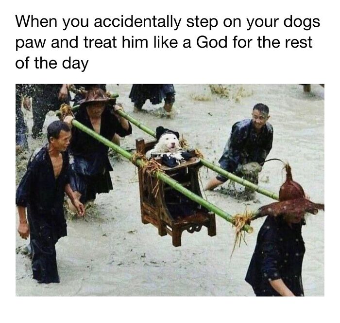 30 Hilariously Cute Dog Memes To Give You A Much-Needed Dose Of Happiness, As Shared By This Page