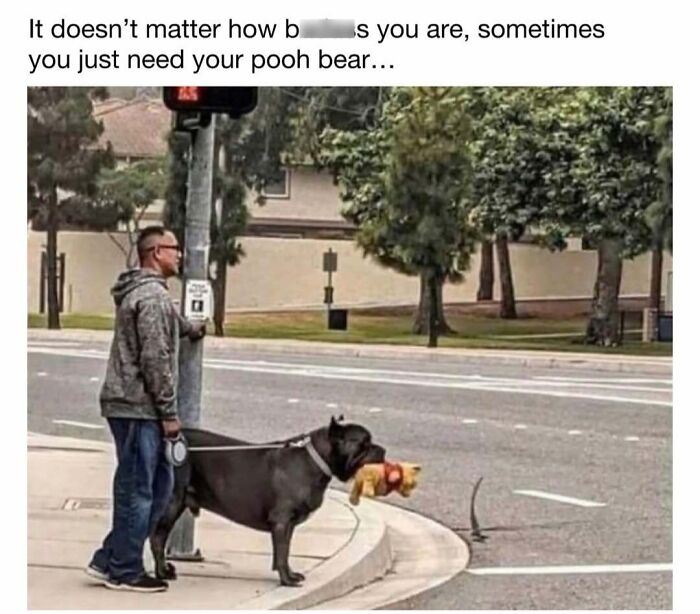 30 Hilariously Cute Dog Memes To Give You A Much-Needed Dose Of Happiness, As Shared By This Page