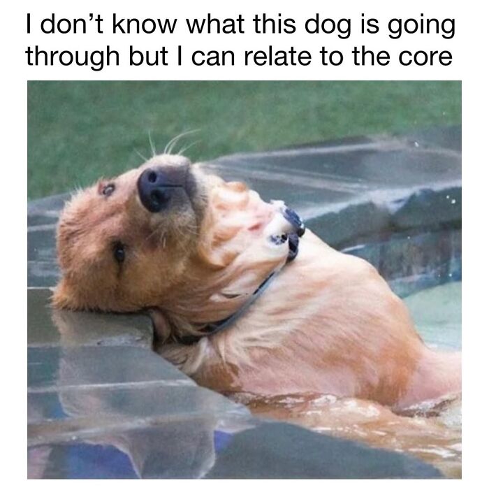 30 Hilariously Cute Dog Memes To Give You A Much-Needed Dose Of Happiness, As Shared By This Page