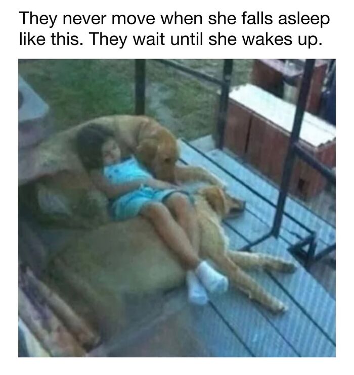 30 Hilariously Cute Dog Memes To Give You A Much-Needed Dose Of Happiness, As Shared By This Page