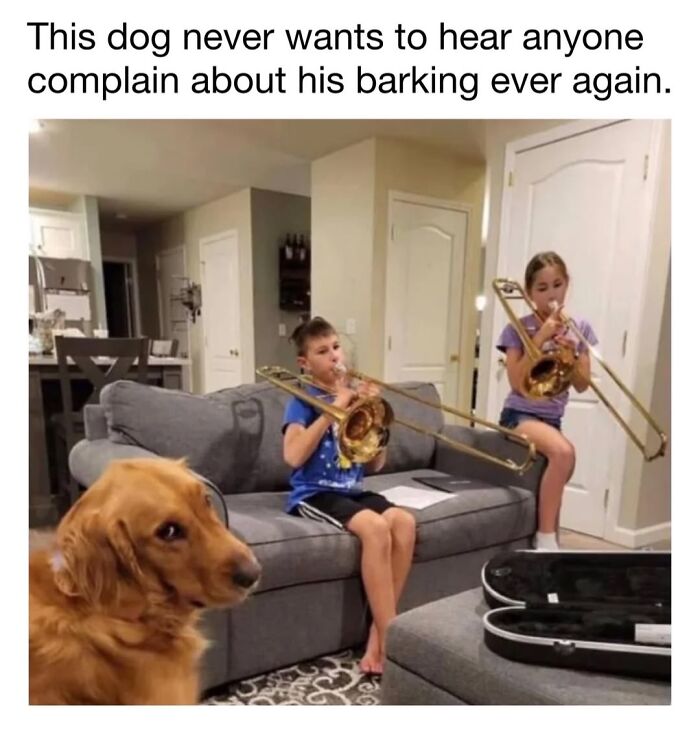 30 Hilariously Cute Dog Memes To Give You A Much-Needed Dose Of Happiness, As Shared By This Page
