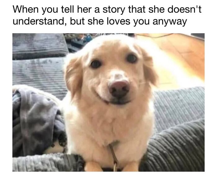 30 Hilariously Cute Dog Memes To Give You A Much-Needed Dose Of Happiness, As Shared By This Page