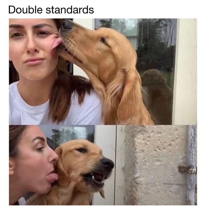 30 Hilariously Cute Dog Memes To Give You A Much-Needed Dose Of Happiness, As Shared By This Page