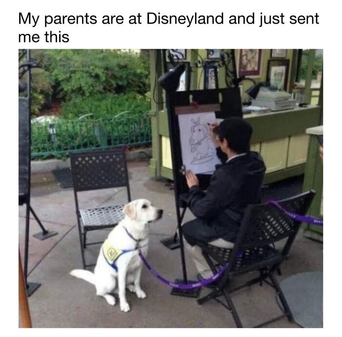 30 Hilariously Cute Dog Memes To Give You A Much-Needed Dose Of Happiness, As Shared By This Page