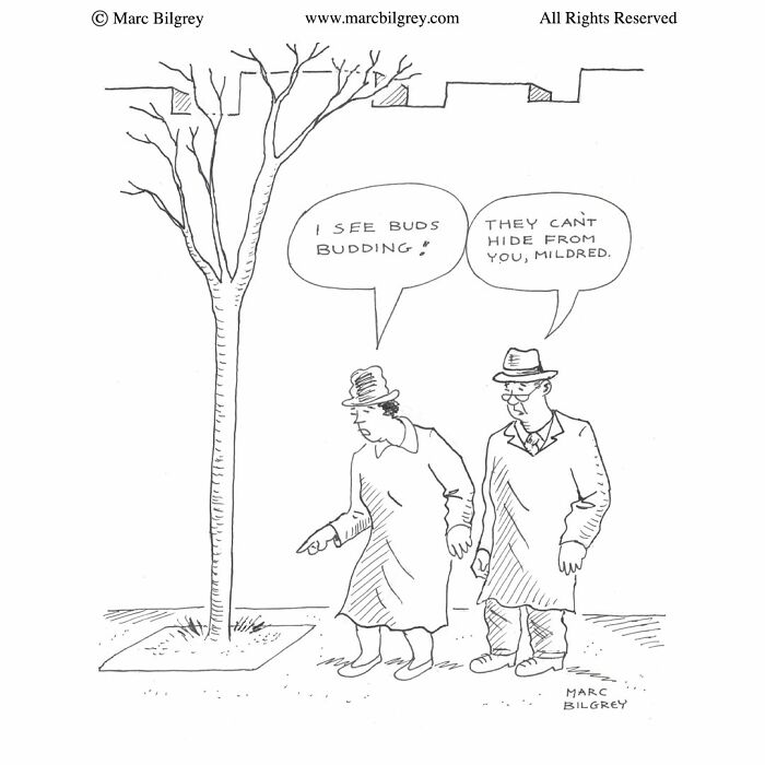 In Just One Panel, Marc Bilgrey Delivers 37 New Cartoons Packed With Sharp Wit And Humor