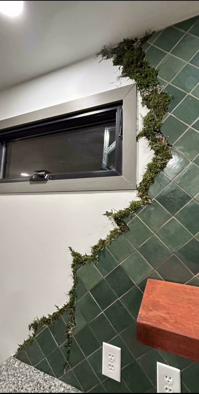 66 Times People Tried To Improve And Renovate Their Homes And It Was A Complete Fiasco 66 Times People Tried To Improve And Renovate Their Homes And It Was A Complete Fiasco
