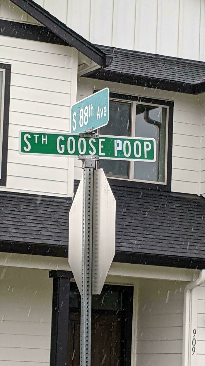 60 Acts Of Vandalism So Clever They Somehow Feel More Like Public Art