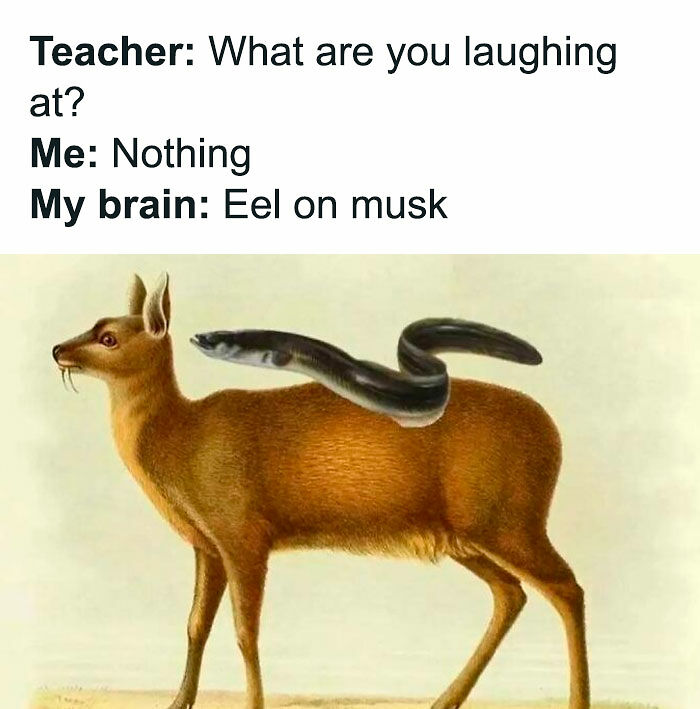 69 History And Classical Art Memes For People Who Prefer Their Humor With A Little Bit Of Culture On Top 69 History And Classical Art Memes For People Who Prefer Their Humor With A Little Bit Of Culture On Top