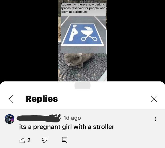 50 People Who Corrected An Obvious Joke With So Much Confidence It Became Even Funnier (New Pics)