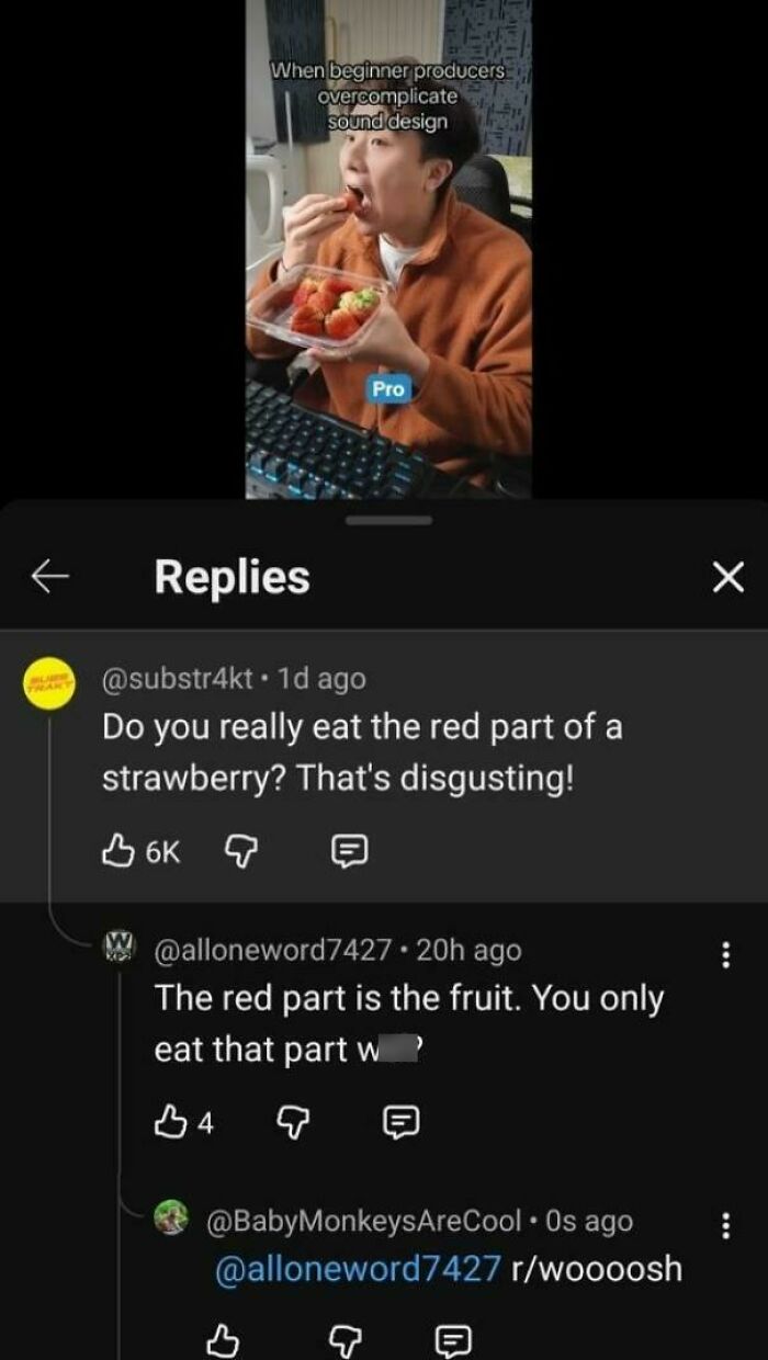 50 People Who Corrected An Obvious Joke With So Much Confidence It Became Even Funnier (New Pics)