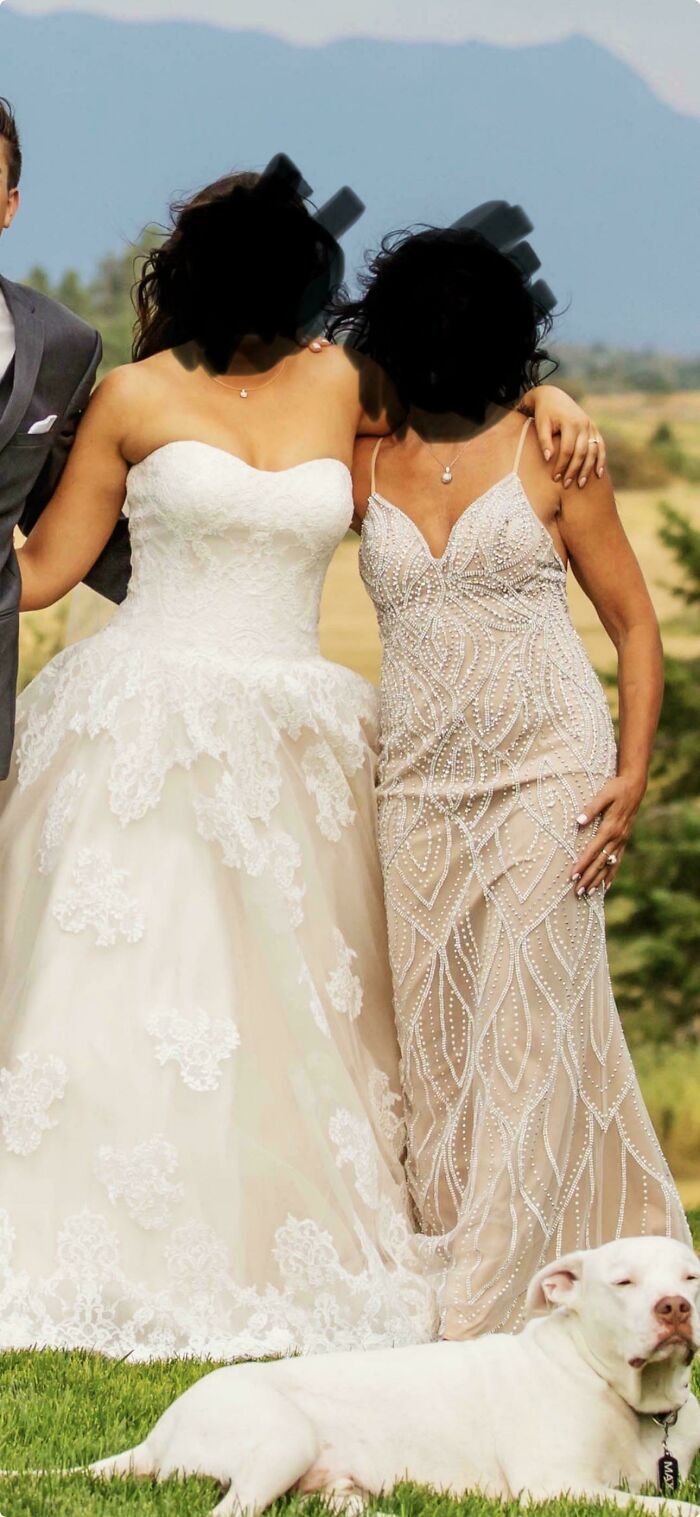 53 Disastrous Weddings That Absolutely Had To Be Shamed Online (New Pics)