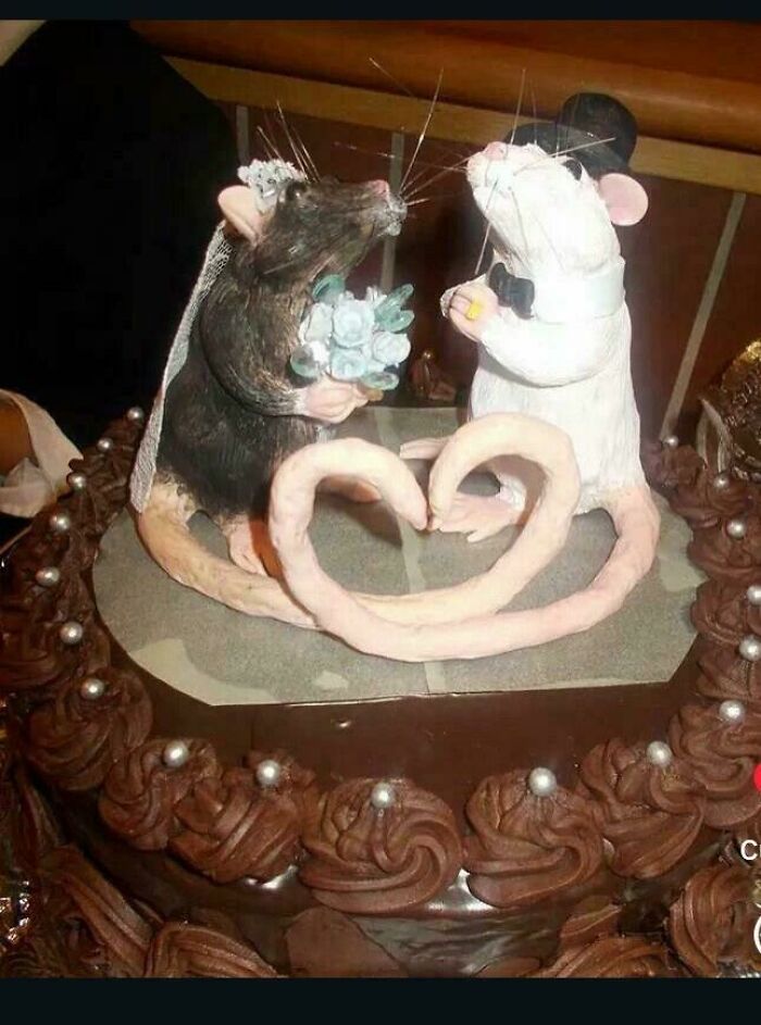 53 Disastrous Weddings That Absolutely Had To Be Shamed Online (New Pics)