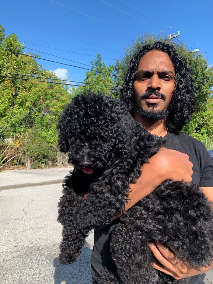 50 Times Pets Looked So Much Like Their Owners, We Had To Look Twice 50 Times Pets Looked So Much Like Their Owners, We Had To Look Twice