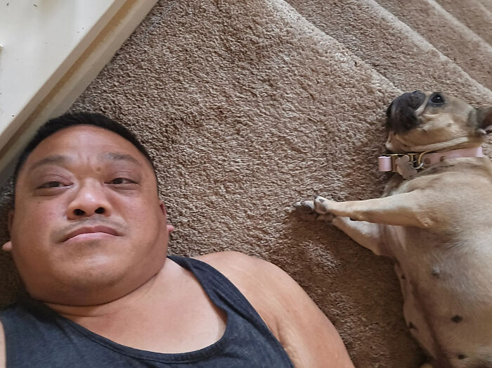 50 Times Pets Looked So Much Like Their Owners, We Had To Look Twice 50 Times Pets Looked So Much Like Their Owners, We Had To Look Twice