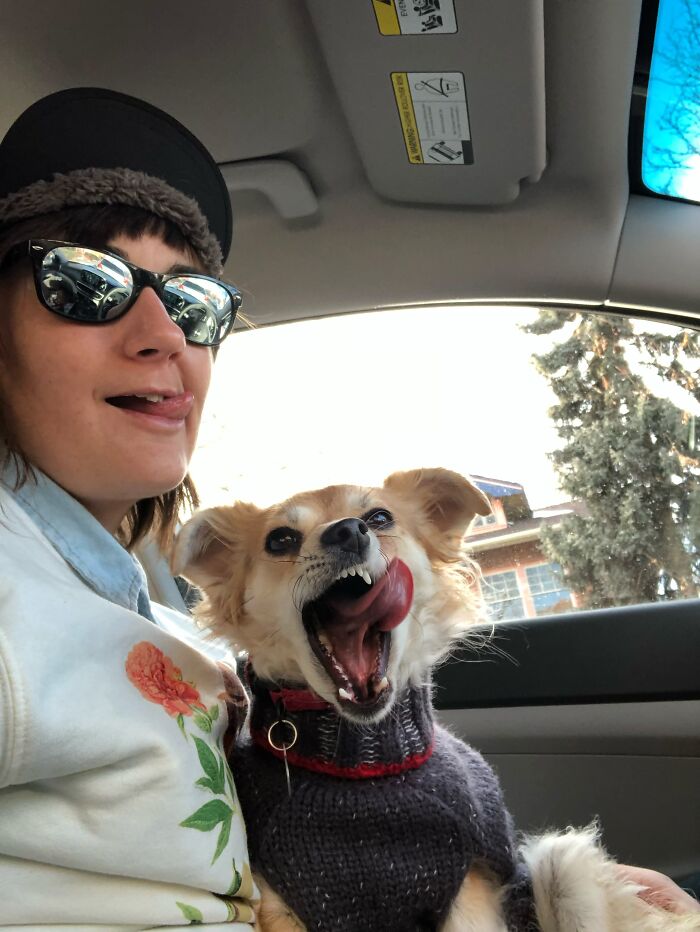 50 Times Pets Looked So Much Like Their Owners, We Had To Look Twice 50 Times Pets Looked So Much Like Their Owners, We Had To Look Twice
