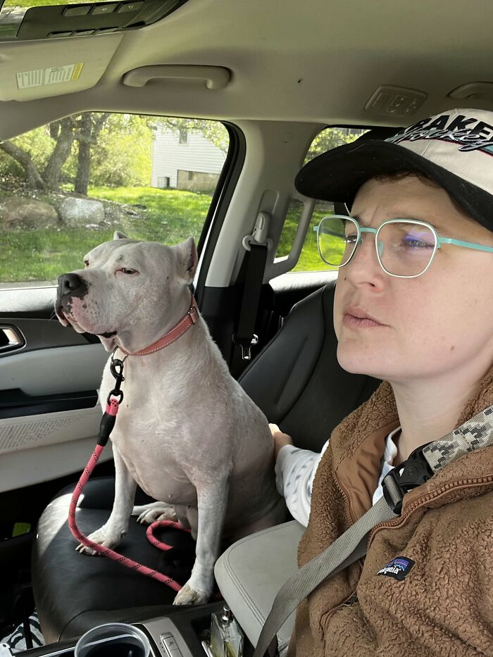 50 Times Pets Looked So Much Like Their Owners, We Had To Look Twice 50 Times Pets Looked So Much Like Their Owners, We Had To Look Twice