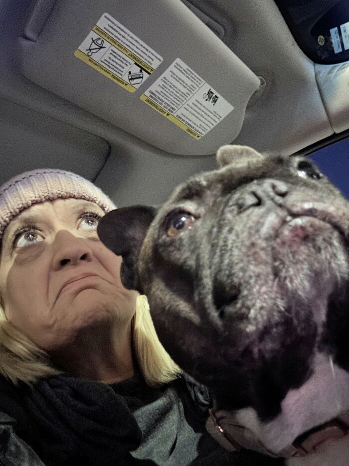 50 Times Pets Looked So Much Like Their Owners, We Had To Look Twice 50 Times Pets Looked So Much Like Their Owners, We Had To Look Twice