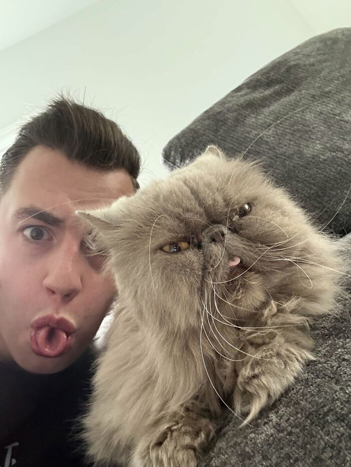 50 Times Pets Looked So Much Like Their Owners, We Had To Look Twice 50 Times Pets Looked So Much Like Their Owners, We Had To Look Twice