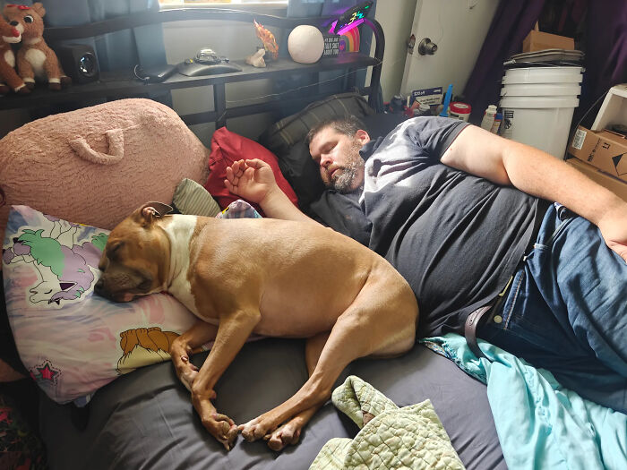 50 Times Pets Looked So Much Like Their Owners, We Had To Look Twice 50 Times Pets Looked So Much Like Their Owners, We Had To Look Twice