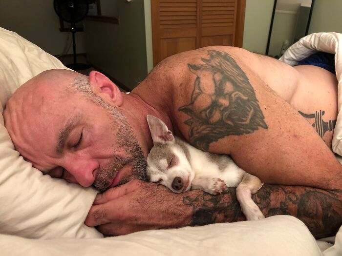50 Times Pets Looked So Much Like Their Owners, We Had To Look Twice 50 Times Pets Looked So Much Like Their Owners, We Had To Look Twice