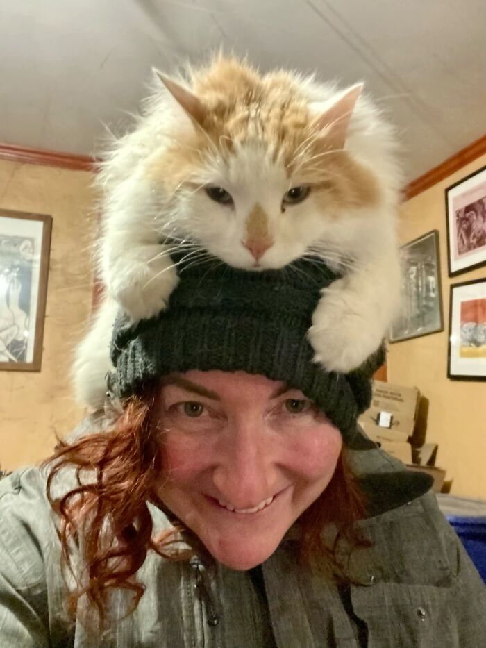 50 Times Pets Looked So Much Like Their Owners, We Had To Look Twice 50 Times Pets Looked So Much Like Their Owners, We Had To Look Twice