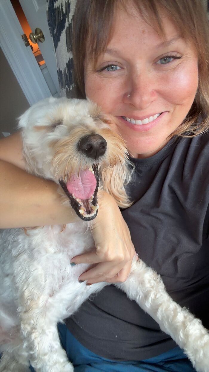 50 Times Pets Looked So Much Like Their Owners, We Had To Look Twice 50 Times Pets Looked So Much Like Their Owners, We Had To Look Twice