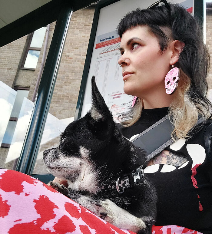 50 Times Pets Looked So Much Like Their Owners, We Had To Look Twice 50 Times Pets Looked So Much Like Their Owners, We Had To Look Twice