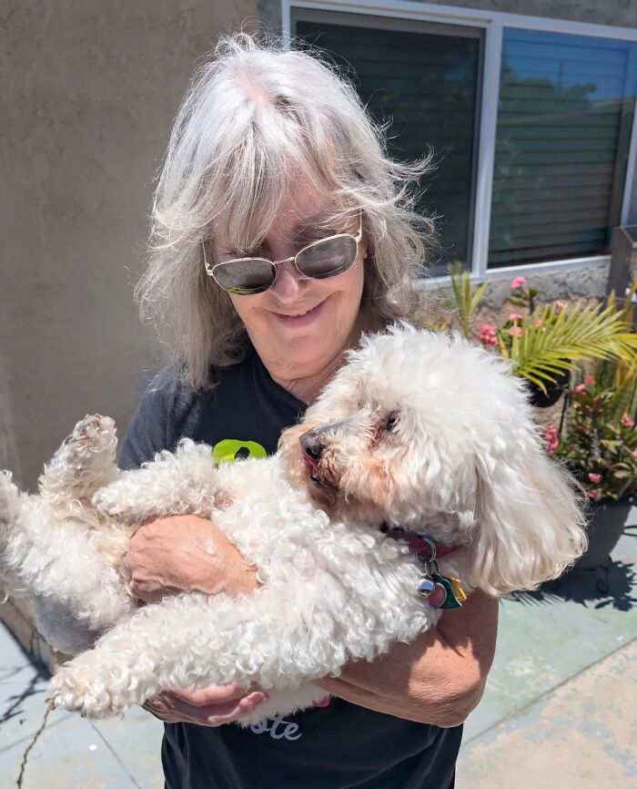 50 Times Pets Looked So Much Like Their Owners, We Had To Look Twice 50 Times Pets Looked So Much Like Their Owners, We Had To Look Twice